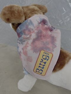 Burg Dog Bandanna