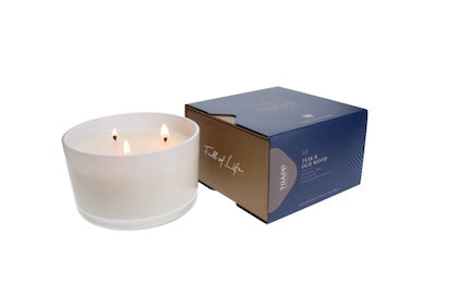 Trapp No. 68 Teak & Oud Wood 16 oz. 3-Wick Candle